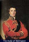 The Duke of Wellington